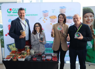 Opakowania dla borówek – plastikowe czy papierowe?