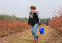 Analiza i zalecenia nawozowe za darmo! Jakie trzeba spełnić warunki