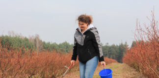 Analiza i zalecenia nawozowe za darmo! Jakie trzeba spełnić warunki