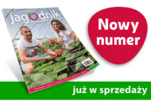 Jagodnik 3/2024 już w sprzedaży