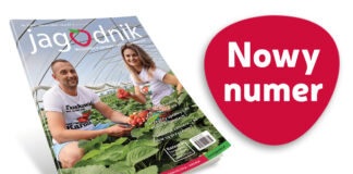 Jagodnik 3/2024 już w sprzedaży
