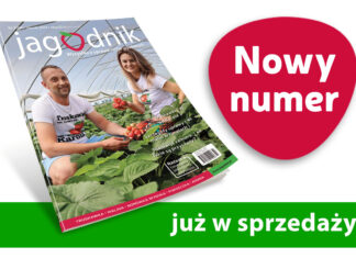 Jagodnik 3/2024 już w sprzedaży