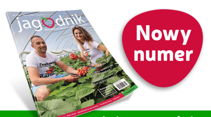 Jagodnik 3/2024 już w sprzedaży