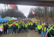 Postulaty Stowarzyszenia Lubelskich Producentów Malin