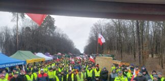 Postulaty Stowarzyszenia Lubelskich Producentów Malin