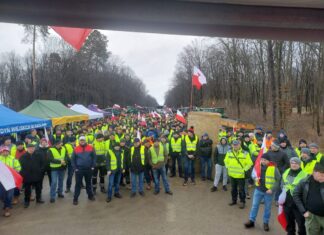 Postulaty Stowarzyszenia Lubelskich Producentów Malin