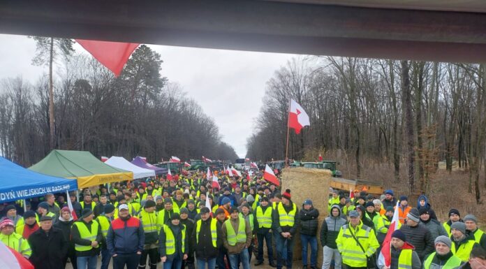 Postulaty Stowarzyszenia Lubelskich Producentów Malin