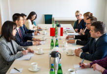 Czy polskie borówki pojadą do Chin?