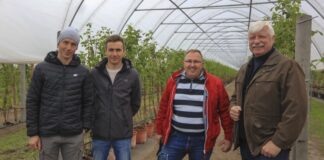 Uprawa malin na lekkich glebach i 20 t/ha co roku