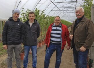 Uprawa malin na lekkich glebach i 20 t/ha co roku