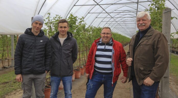 Uprawa malin na lekkich glebach i 20 t/ha co roku