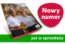 Jagodnik 4/2024 – już w sprzedaży