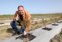 Borówki w technologii węglowej – rekomendacje z dwóch kwater