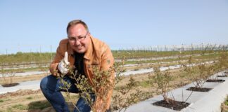 Borówki w technologii węglowej – rekomendacje z dwóch kwater