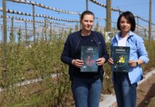 Nawozy płynne dla borówek – więcej niż biostymulacja