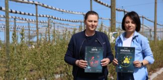 Nawozy płynne dla borówek – więcej niż biostymulacja