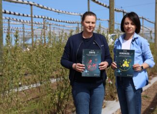 Nawozy płynne dla borówek – więcej niż biostymulacja