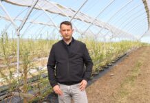 Linie nawadniające przed sezonem – niezbędne czynności zapewniające sprawność ich pracy