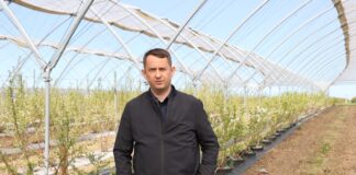 Linie nawadniające przed sezonem – niezbędne czynności zapewniające sprawność ich pracy