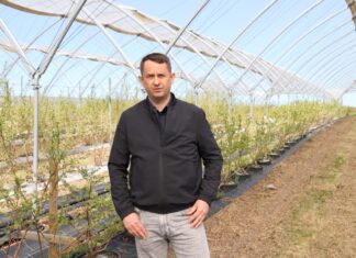 Linie nawadniające przed sezonem – niezbędne czynności zapewniające sprawność ich pracy