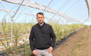 Linie nawadniające przed sezonem – niezbędne czynności zapewniające sprawność ich pracy