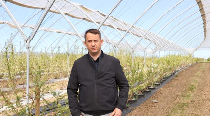 Linie nawadniające przed sezonem – niezbędne czynności zapewniające sprawność ich pracy