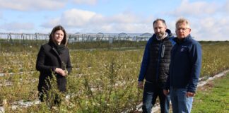 Produkt biologiczny wspomagający nawożenie borówek