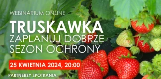 Truskawka – zaplanuj dobrze sezon ochrony |Webinarium online
