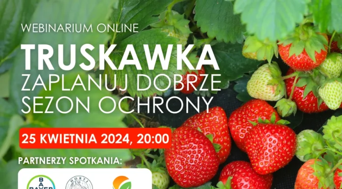 Truskawka – zaplanuj dobrze sezon ochrony |Webinarium online