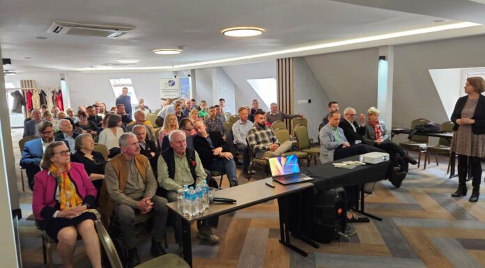 Przyszłość uprawy borówki w Polsce. Plantatorzy mają obawy