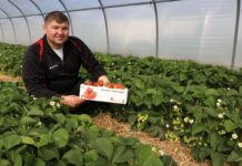 Czas zatańczyć ‘Rumbę’!