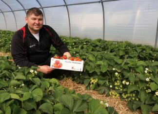 Czas zatańczyć ‘Rumbę’!