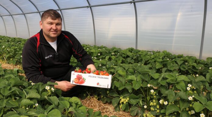 Czas zatańczyć ‘Rumbę’!