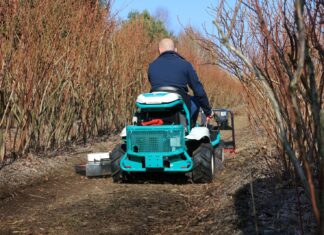 Jaką wybrać kosiarkę na plantację borówki