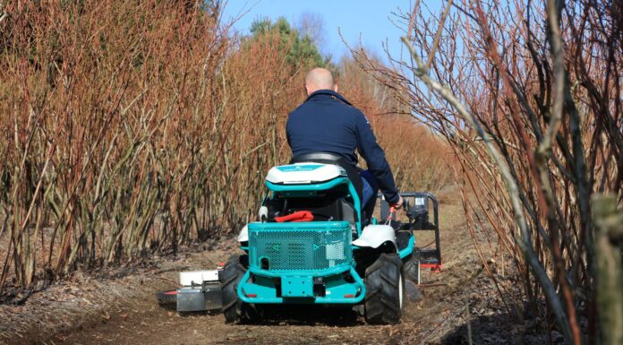Jaką wybrać kosiarkę na plantację borówki