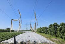 Mogą być niebezpieczne. Co zrobić gdy agrowłókniny zawisną na liniach elektrycznych?