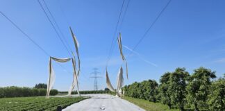 Mogą być niebezpieczne. Co zrobić gdy agrowłókniny zawisną na liniach elektrycznych?