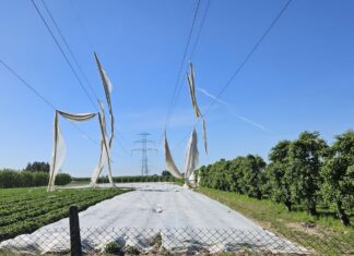 Mogą być niebezpieczne. Co zrobić gdy agrowłókniny zawisną na liniach elektrycznych?