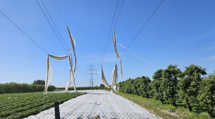 Mogą być niebezpieczne. Co zrobić gdy agrowłókniny zawisną na liniach elektrycznych?