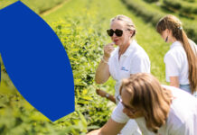 Producenci jagody kamczackiej – dołączcie do największych polskich samozbiorów