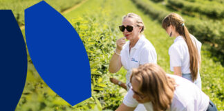 Producenci jagody kamczackiej – dołączcie do największych polskich samozbiorów