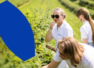 Producenci jagody kamczackiej – dołączcie do największych polskich samozbiorów