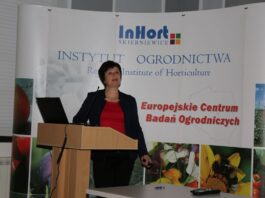 QualityBerry – podsumowanie projektu