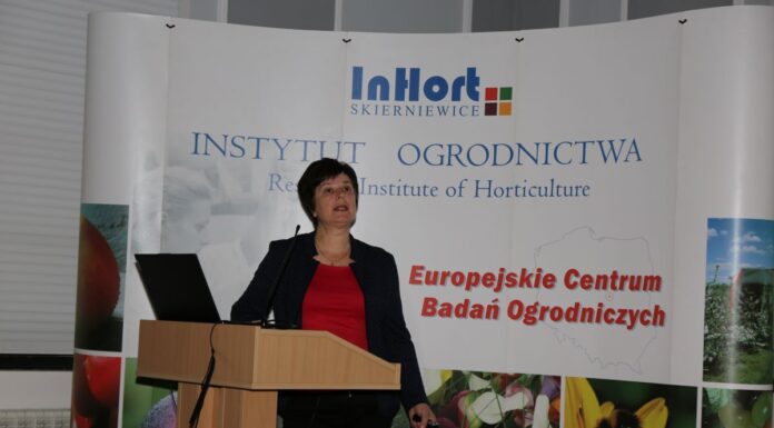 QualityBerry – podsumowanie projektu