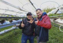 Duże i dorodne truskawki u Karola. Wszyscy są w szoku!