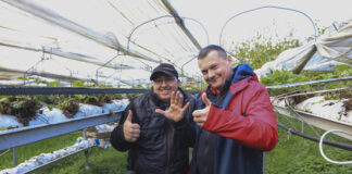 Duże i dorodne truskawki u Karola. Wszyscy są w szoku!