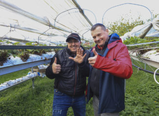 Duże i dorodne truskawki u Karola. Wszyscy są w szoku!