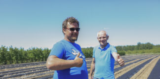 Folia i agrowłóknina na truskawkowe zagony