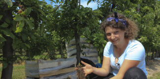 Sadzenie truskawek w maju. Kiedy będą pierwsze owoce?