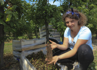 Sadzenie truskawek w maju. Kiedy będą pierwsze owoce?